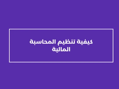 كيفية تنظيم المحاسبة المالية