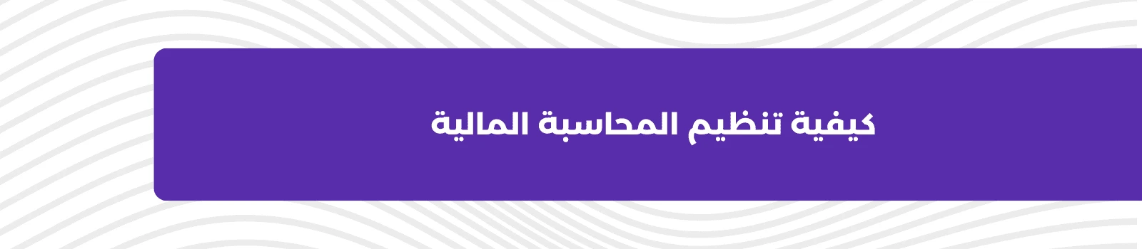 كيفية تنظيم المحاسبة المالية 