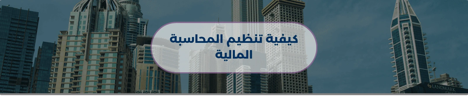 كيفية تنظيم المحاسبة المالية 